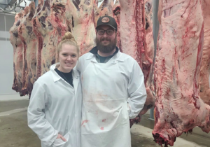 about harvester meat company