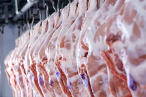Harvester Meat Co. is one of the top slaughterhouses Canton IL farmers and businesses trusts